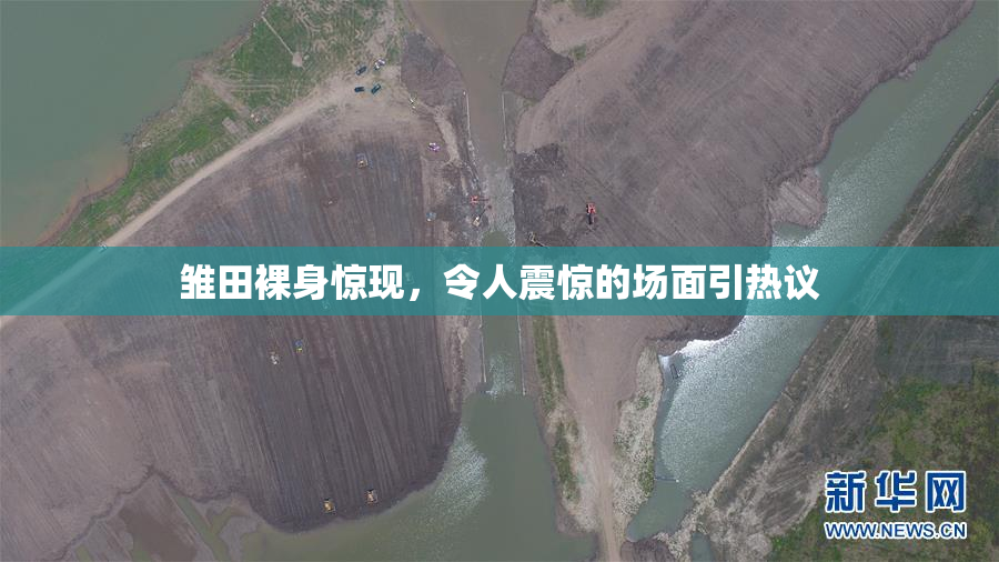 雏田裸身惊现，令人震惊的场面引热议
