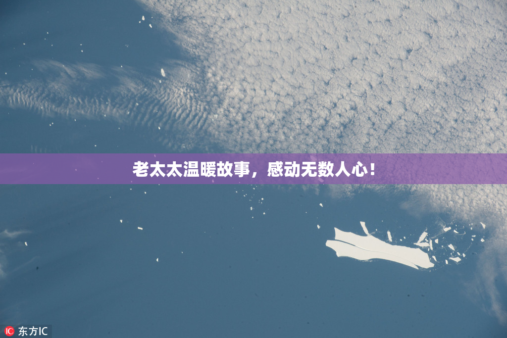老太太温暖故事，感动无数人心！