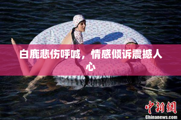 白鹿悲伤呼喊，情感倾诉震撼人心