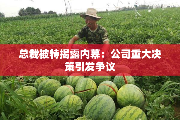总裁被特揭露内幕：公司重大决策引发争议
