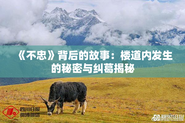 《不忠》背后的故事：楼道内发生的秘密与纠葛揭秘