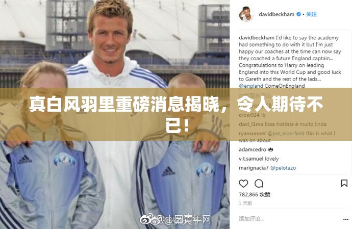 真白风羽里重磅消息揭晓，令人期待不已！