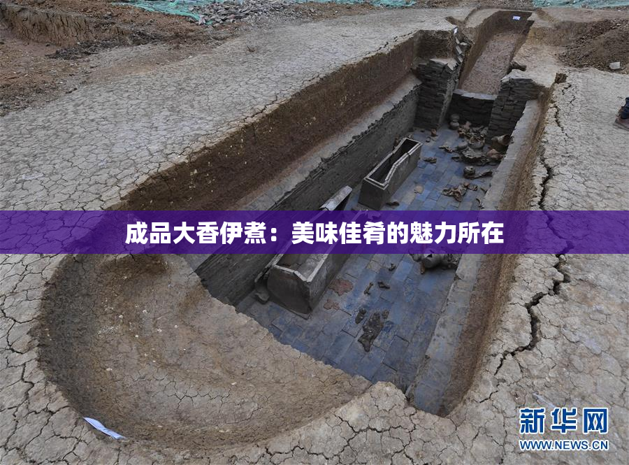 成品大香伊煮：美味佳肴的魅力所在