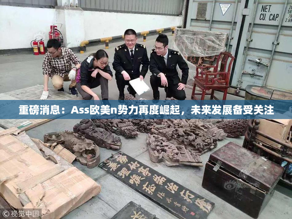 重磅消息：Ass欧美n势力再度崛起，未来发展备受关注
