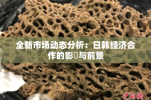 全新市场动态分析：日韩经济合作的影響与前景