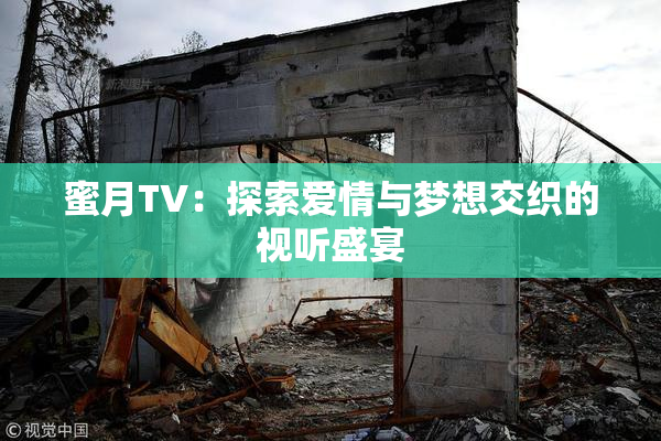 蜜月TV：探索爱情与梦想交织的视听盛宴