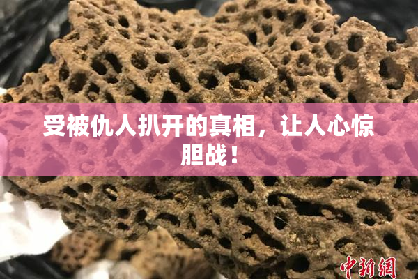 受被仇人扒开的真相，让人心惊胆战！