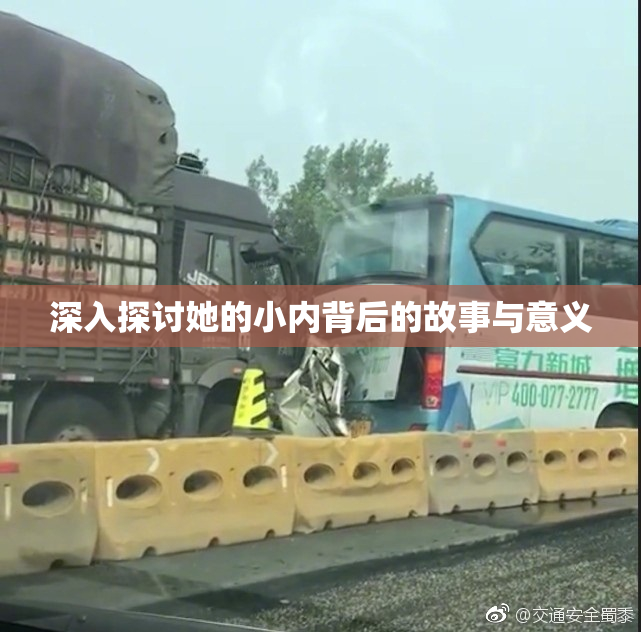 深入探讨她的小内背后的故事与意义