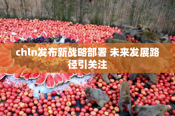 chln发布新战略部署 未来发展路径引关注