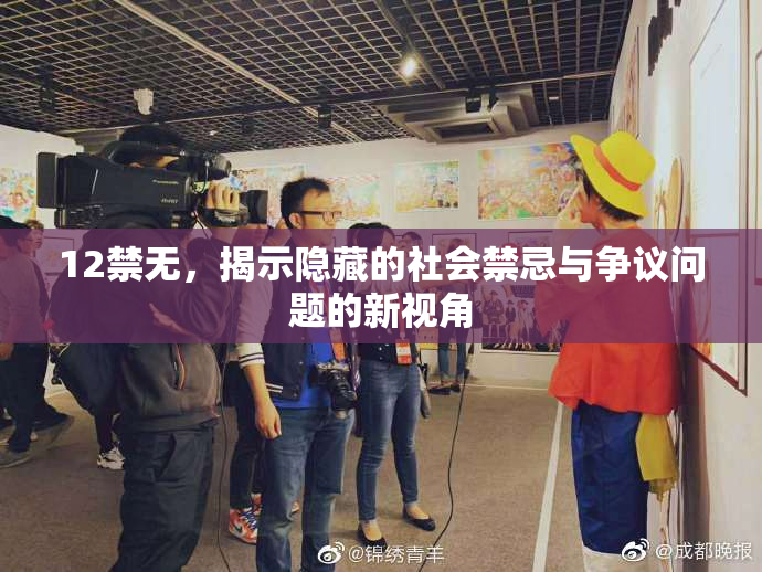 12禁无，揭示隐藏的社会禁忌与争议问题的新视角