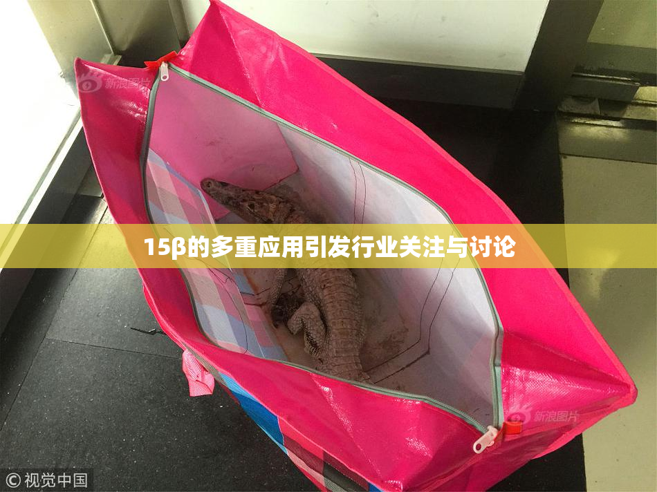 15β的多重应用引发行业关注与讨论