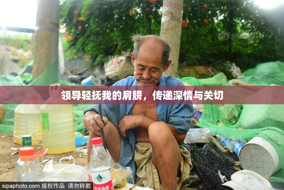 领导轻抚我的肩膀，传递深情与关切