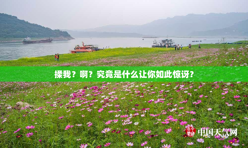 揉我？啊？究竟是什么让你如此惊讶？