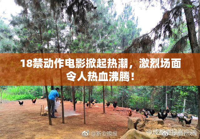 18禁动作电影掀起热潮，激烈场面令人热血沸腾！