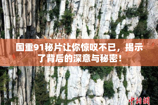 国重91秘片让你惊叹不已，揭示了背后的深意与秘密！