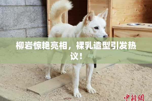 柳岩惊艳亮相，裸乳造型引发热议！