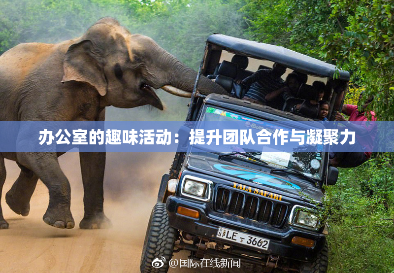 办公室的趣味活动：提升团队合作与凝聚力