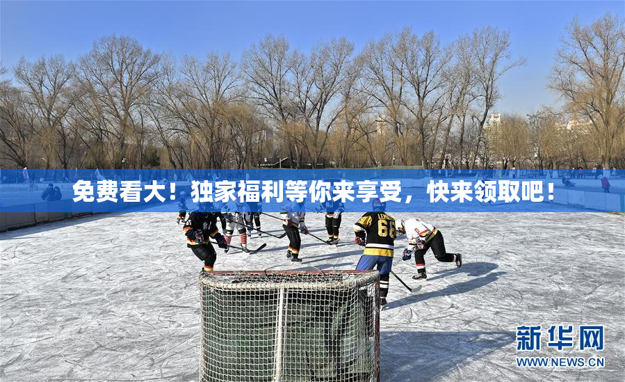 免费看大！独家福利等你来享受，快来领取吧！