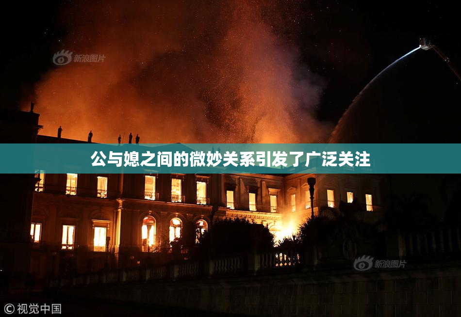 公与媳之间的微妙关系引发了广泛关注