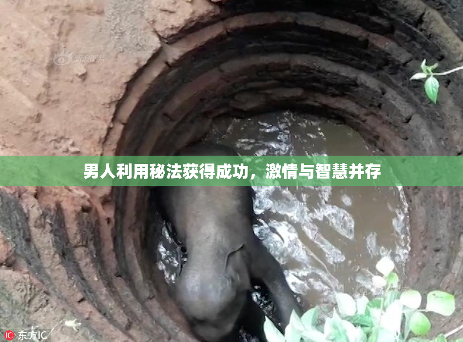 男人利用秘法获得成功，激情与智慧并存