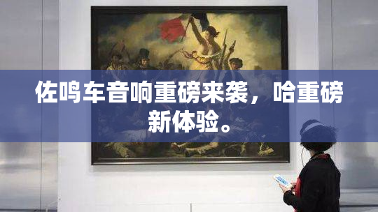佐鸣车音响重磅来袭，哈重磅新体验。