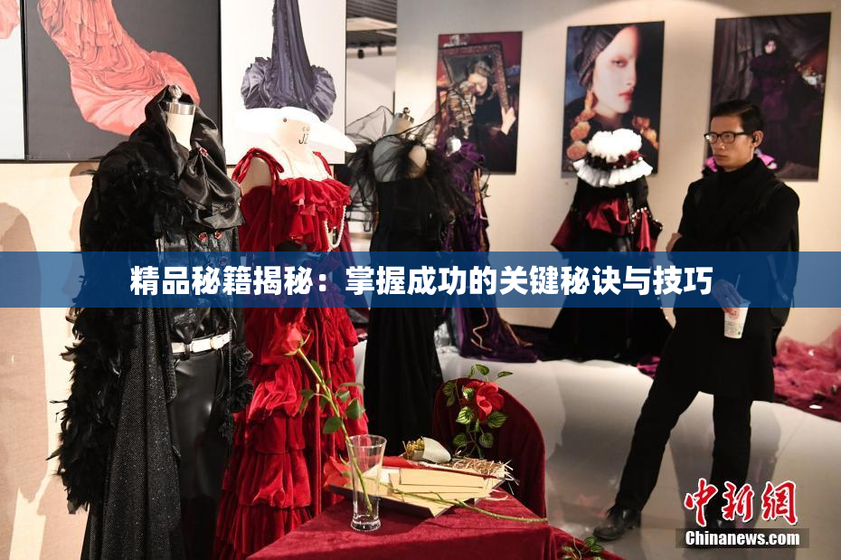 精品秘籍揭秘：掌握成功的关键秘诀与技巧