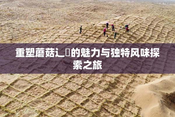 重塑蘑菇辶喿的魅力与独特风味探索之旅