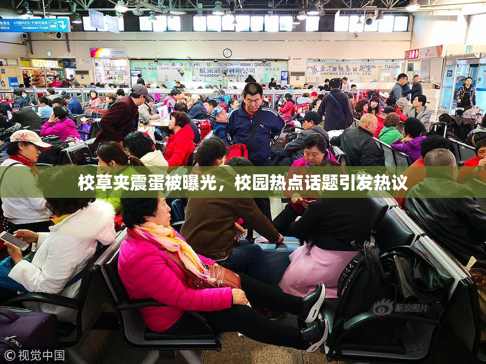 校草夹震蛋被曝光，校园热点话题引发热议