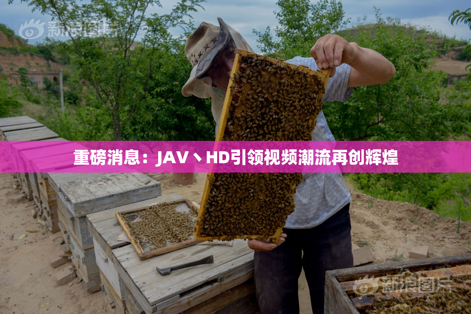 重磅消息：JAV丶HD引领视频潮流再创辉煌