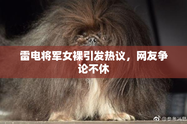 雷电将军女裸引发热议，网友争论不休