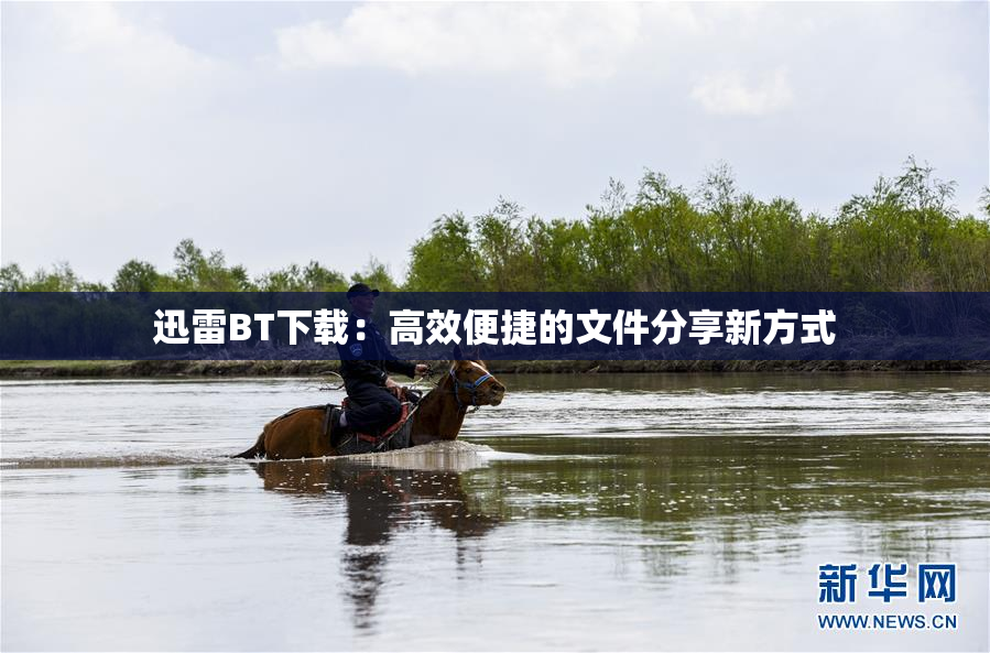 迅雷BT下载：高效便捷的文件分享新方式