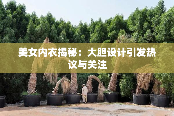 美女内衣揭秘：大胆设计引发热议与关注