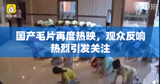国产毛片再度热映，观众反响热烈引发关注