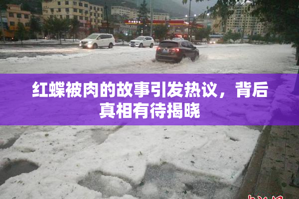 红蝶被肉的故事引发热议，背后真相有待揭晓