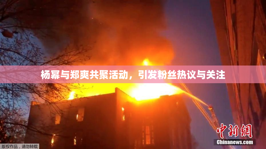 杨幂与郑爽共聚活动，引发粉丝热议与关注
