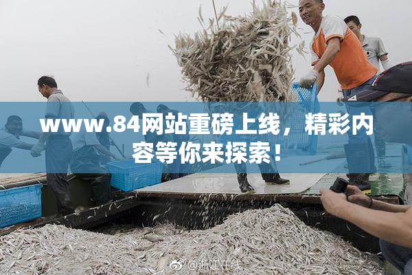 www.84网站重磅上线，精彩内容等你来探索！