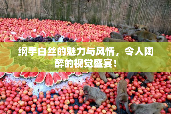 纲手白丝的魅力与风情，令人陶醉的视觉盛宴！