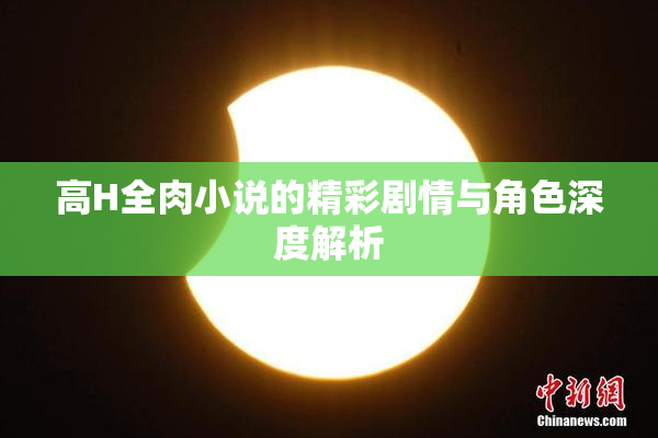 高H全肉小说的精彩剧情与角色深度解析