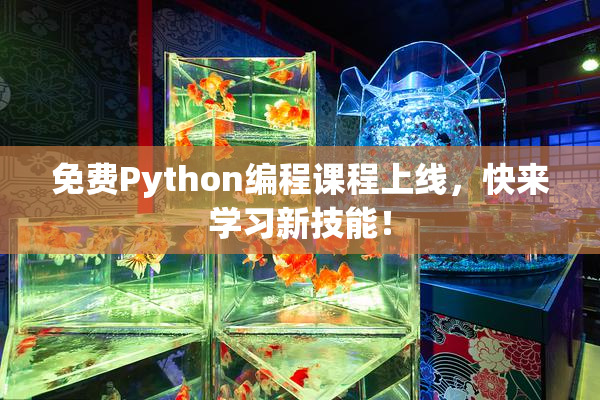 免费Python编程课程上线，快来学习新技能！