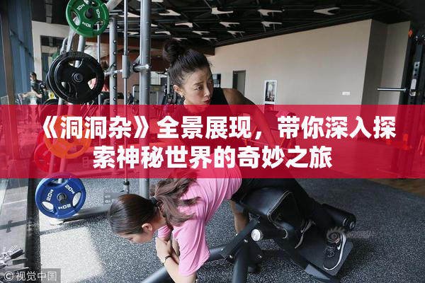 《洞洞杂》全景展现，带你深入探索神秘世界的奇妙之旅