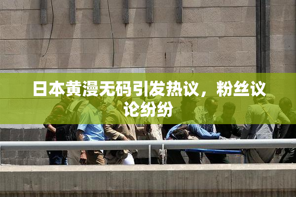 日本黄漫无码引发热议，粉丝议论纷纷