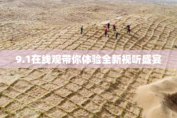 9.1在线观带你体验全新视听盛宴