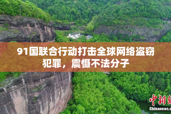 91国联合行动打击全球网络盗窃犯罪，震慑不法分子