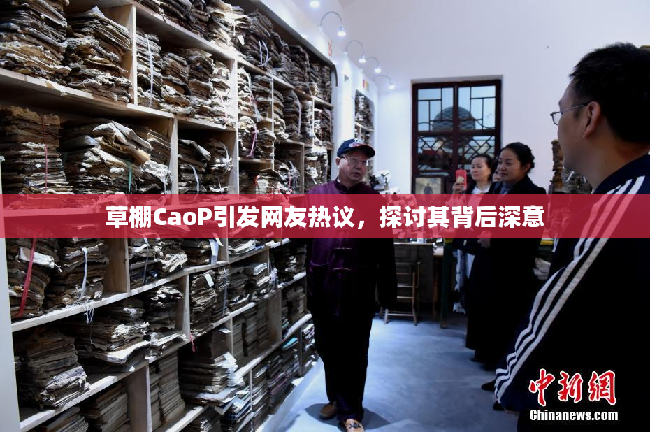 草棚CaoP引发网友热议，探讨其背后深意