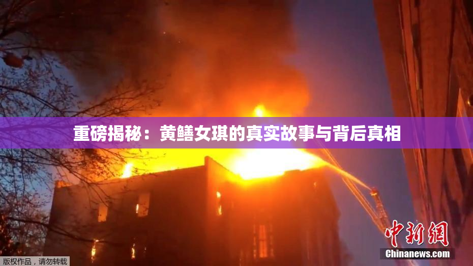 重磅揭秘：黄鳝女琪的真实故事与背后真相