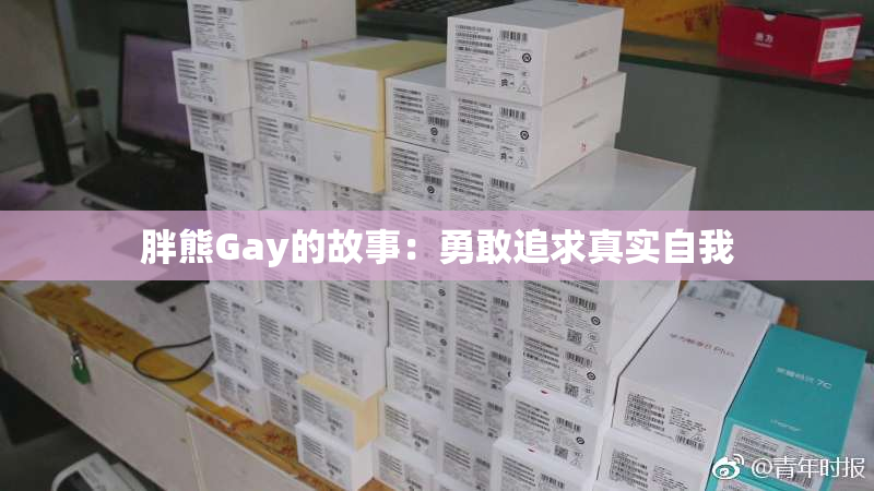 胖熊Gay的故事：勇敢追求真实自我