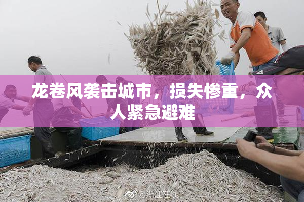 龙卷风袭击城市，损失惨重，众人紧急避难