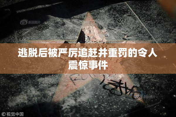 逃脱后被严厉追赶并重罚的令人震惊事件