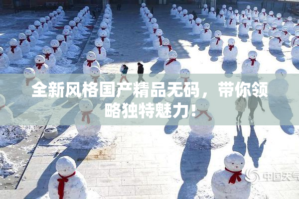全新风格国产精品无码，带你领略独特魅力！