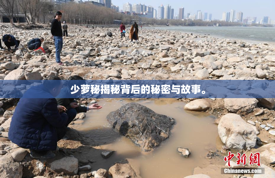 少萝秘揭秘背后的秘密与故事。